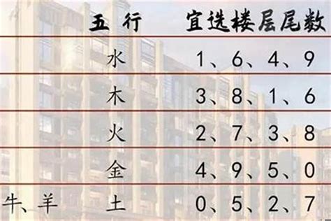 屬鼠的方位|属鼠最佳住房楼层和风水方位